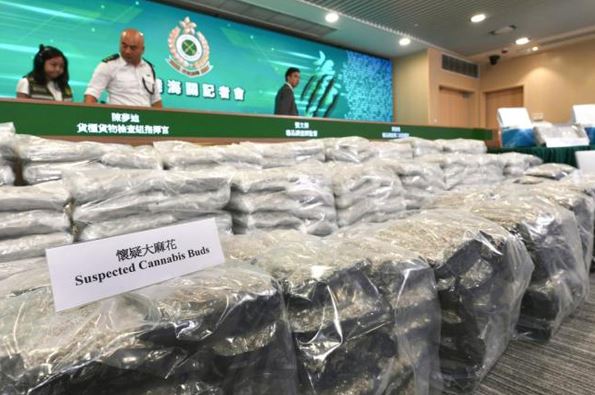 Hong Kong Catat Rekor Sita Ganja Rp285 Miliar Dikirim dari Thailand